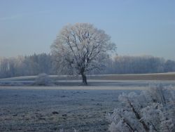 ﻿Skiurlaub in Bad Aibling in Deutschland