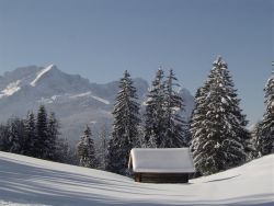 ﻿Skiurlaub in Deutschland