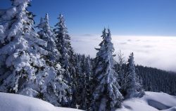 ﻿Günstiger Skiurlaub in Deutschland