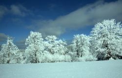 ﻿Skiurlaub in Lindberg