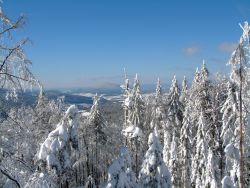 ﻿Skiurlaub in Lohberg