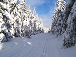 ﻿Günstiger Skiurlaub in Deutschland