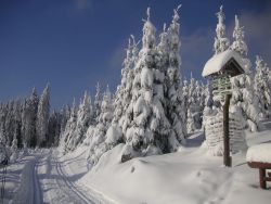 Günstiger Skiurlaub in Oberhof Günstiger Skiurlaub in Oberhof