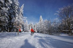 ﻿Günstiger Skiurlaub in Schöneck
