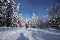 Günstiger Skiurlaub in Schöneck Günstiger Skiurlaub in Schöneck