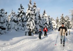 ﻿Günstiger Skiurlaub in Seiffen