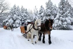 ﻿Skiurlaub in Seiffen