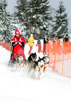 ﻿Skiurlaub in Deutschland in Seiffen