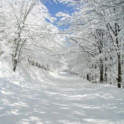 Skiurlaub günstig in Deutschland