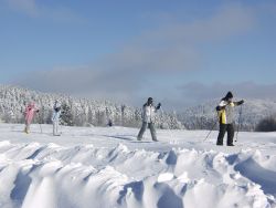 ﻿Skiurlaub in Deutschland