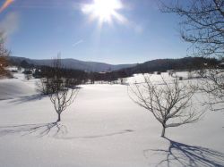 ﻿Günstiger Skiurlaub in Deutschland