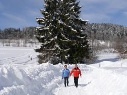 ﻿Skiurlaub in St. Englmar