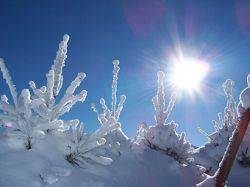 günstiger Skiurlaub in Skihütten