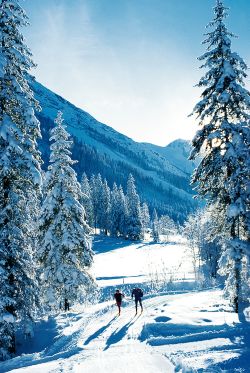 ﻿Skiurlaub in Österreich