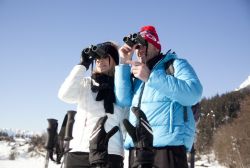 ﻿Österreich: Skiurlaub in Hall in Tirol