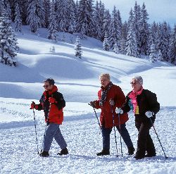 Skiurlaub in Hochkönig Skiurlaub in Hochkönig