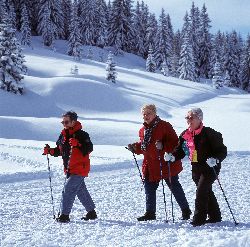 Skiurlaub in Hochkönig