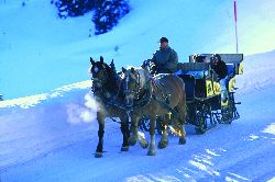 Lech-Zürs: Skiurlaub am Arlberg