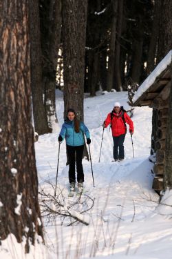 ﻿Günstiger Skiurlaub in Österreich