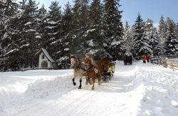 ﻿Günstiger Skiurlaub in der Olympiaregion Seefeld